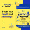 KM Nekocee 15 in 1
