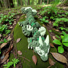 Monstera Dragon