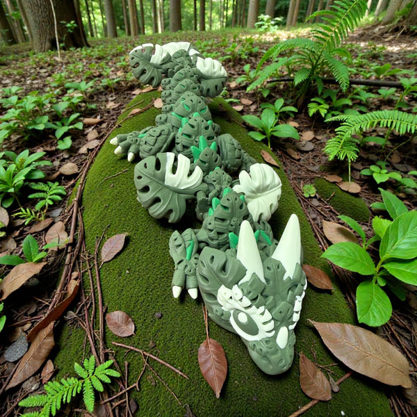 Monstera Dragon