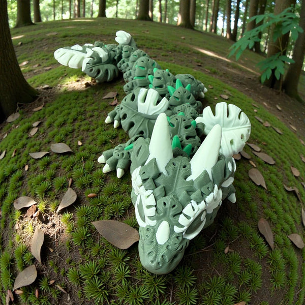 Monstera Dragon