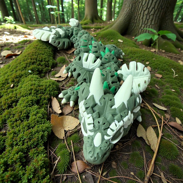 Monstera Dragon