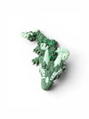 Monstera Dragon