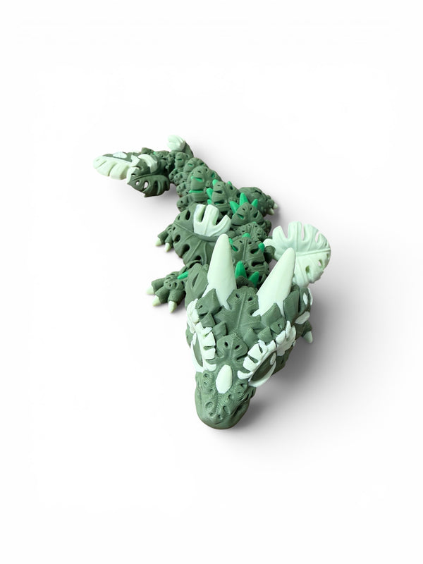 Monstera Dragon