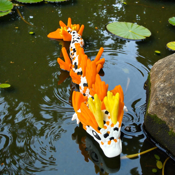 Koi Dragon