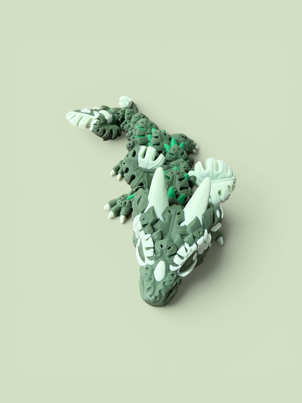 Monstera Dragon