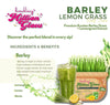 Million Glow Barley Lemongrass